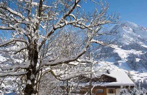 Adelboden Apartment | 45 m² Apartment ∙ 1 bedroom ∙ 3 guests