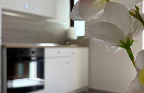 Rapolla Hotel | 45 m² Hotel ∙ 3 guests