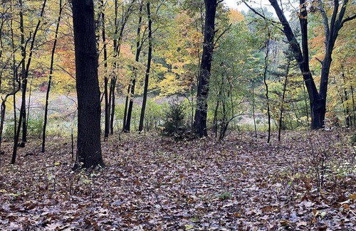 Battle Creek House | 5 acre property with sunsets on marsh. Pet friendly.Fort Custer