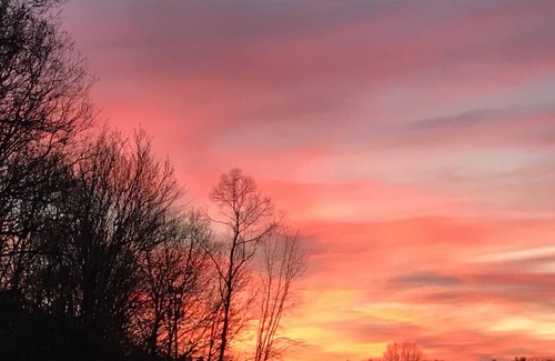 Battle Creek House | 5 acre property with sunsets on marsh. Pet friendly.Fort Custer