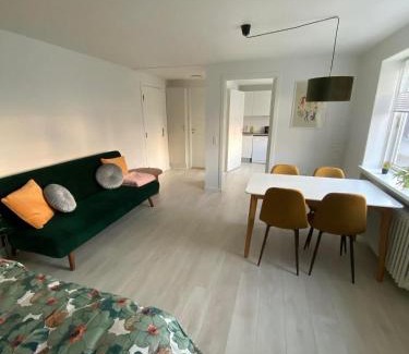 Billund Apartment | 5 minute walk to LEGO house - 50m2 cozy apartment- D unit