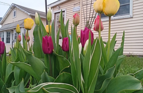Saugerties Apartment | 5 minutes to HITS, village of Saugerties