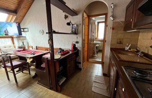 Ravascletto Apartment | 50 m² Apartment ∙ 1 bedroom ∙ 4 guests