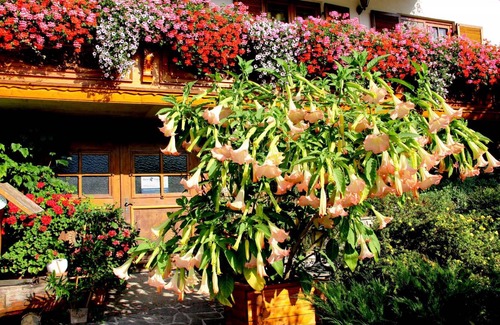 Tuernitz Apartment | 50 m² Apartment ∙ 2 bedrooms ∙ 5 guests