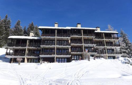 Gryon Apartment | 50 m² Apartment ∙ 2 bedrooms ∙ 4 guests