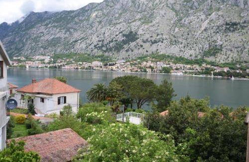 Kotor Apartment | 50 m² Apartment ∙ 4 guests