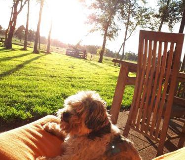 Eelde Bed & Breakfast | 50 m² Bed and breakfast ∙ 3 guests