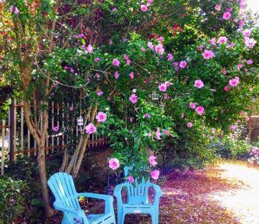Marano Principato Bed & Breakfast | 55 m² Bed and breakfast ∙ 2 bedrooms ∙ 5 guests