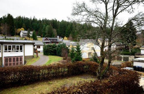 Titisee-Neustadt Hotel | 55 m² Hotel ∙ 5 guests