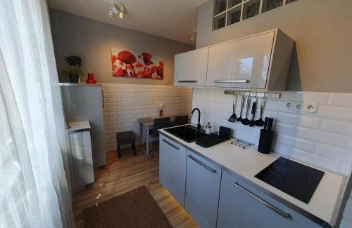 Szeged Apartment | 56 m² Apartment ∙ 2 bedrooms ∙ 4 guests