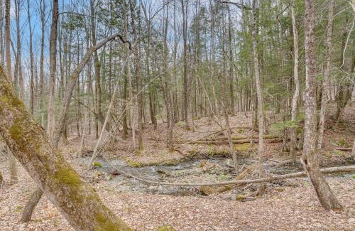 Richmond Apartment | 6 Mi to Tanglewood Peaceful Berkshire Apt!
