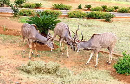 Lydenburg Apartment | 66 Sharalumbi Wildlife Estate
