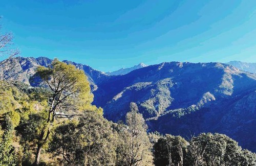 Dharamshala Apartment | 700 m² Apartment ∙ 1 bedroom ∙ 3 guests