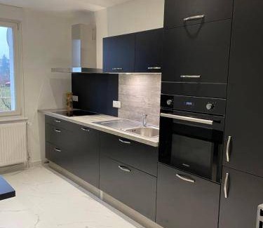 Niederbronn-les-Bains Apartment | 75 m² Apartment ∙ 2 bedrooms ∙ 4 guests