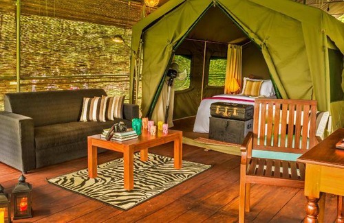 Balangoda Other | 82 m² Tent ∙ 4 guests