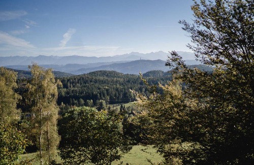 Moosburg Apartment | 85 m² Apartment ∙ 1 bedroom ∙ 2 guests