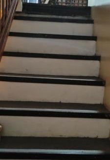 Curio-Utinga House | A casa das janelas azuis