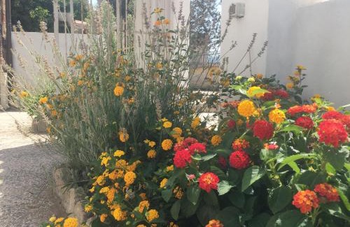 Oschiri Bed & Breakfast | A Casa di Zia