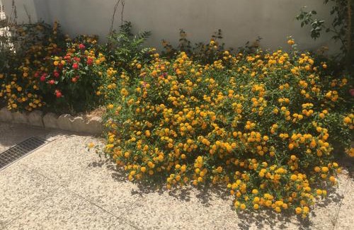 Oschiri Bed & Breakfast | A Casa di Zia