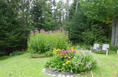 Gouldsboro Cottage | A charming, pet friendly, 2-bedroom home with all amenities.n4 day minimum