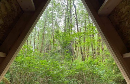 Forks Apartment | A-Frame #16 Shelter near Olympic National Park