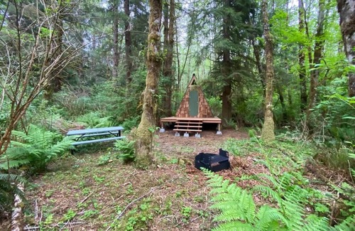 Forks Apartment | A-Frame #16 Shelter near Olympic National Park
