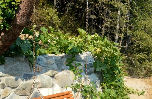 Gasquet Cabin | A-Frame, Off-Grid, Rustic Cabin