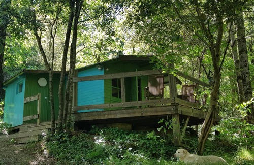 St Gervais sur Mare Cabin | a hidden hut with a terrace overlooking the forest
