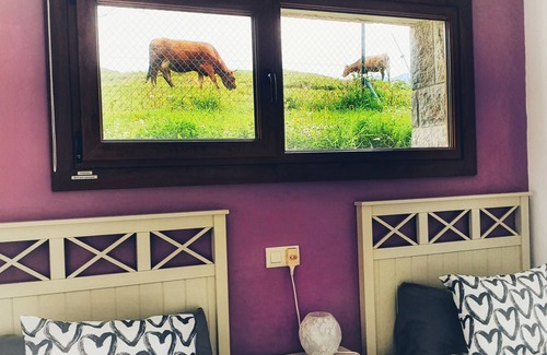 Llanes House | A house to disconnect from the routine and enjoy with your furry friends.