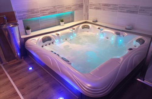 Epinal Apartment | A l'Ombre du Lilas II - avec Spa privatif en supplément