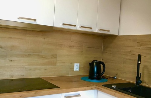 Kostrzyn Apartment | A place for the family to stay. Close to the border and the main train station