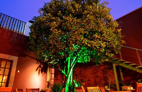 Downtown Queretaro House | A Really Nice House In Dowtown.