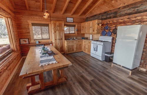 Lake City Cabin | A True Escape and Technology Free in Beautiful Southwest Colorado - Pet Friendly