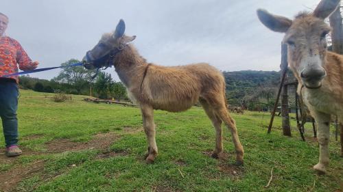 Kareeberg House | A2B Eco Farm, Byrne Valley, KZN
