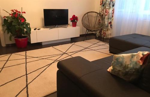 Emanoil Gojdu Apartment | A3M APARTMENT