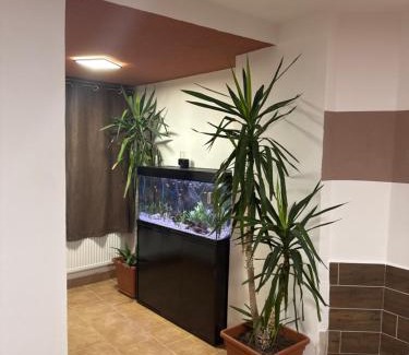 Unhost House | AbC