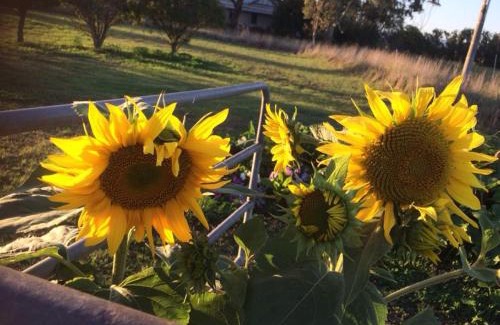 Heyfield House | Abington Farm B & B