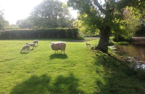 Plaitford House | Acorns - Converted Barn In An Attractive Courtyard On Our Family Stockfarm