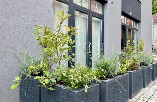Banovo brdo Apartment | Ada Smart Apartment