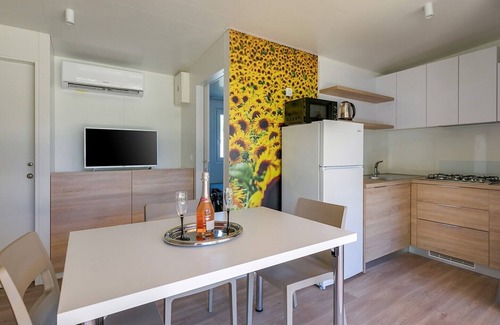 Karigador House | Adriamar Mobile Homes in Camping Park Umag /Adriamar 2439 Park Umag