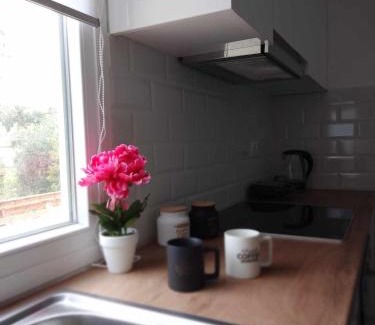 Termenades Apartment | Afionas Cottage