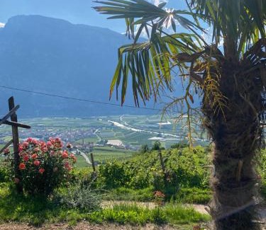 Lavis Apartment | Agritur Chalet Belvedere