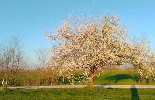 San Biagio di Callalta House | Agriturismo Natura Salute