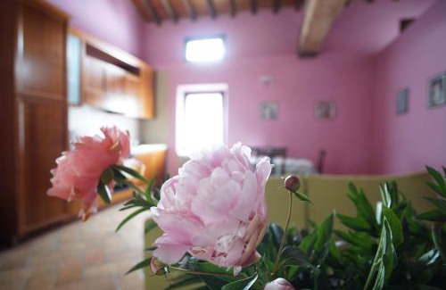Montale House | Agriturismo Aggazzotti