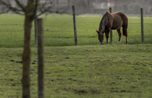 Treviso House | Agriturismo Al Botteniga