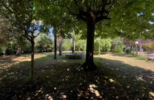 Altavilla Silentina Bed & Breakfast | Agriturismo Al Gallo Verde