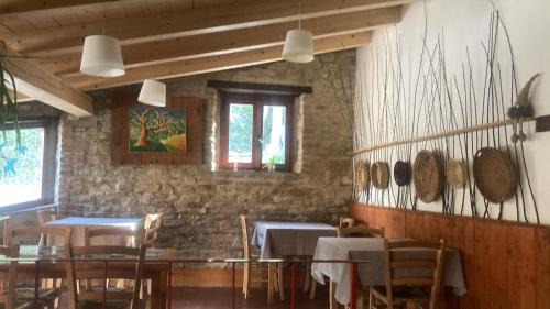 Serra San Quirico House | Agriturismo Becerca Vegan