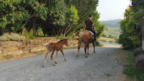 Bassano Sotto House | Agriturismo Corte del Gallo