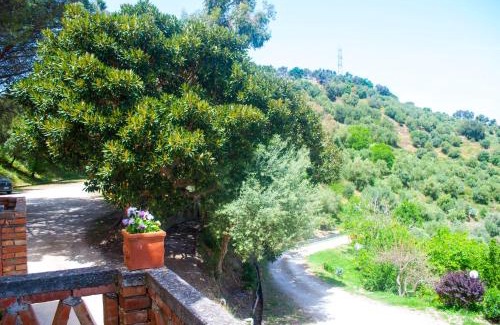 Ficarra House | Agriturismo Fattoria di Grenne