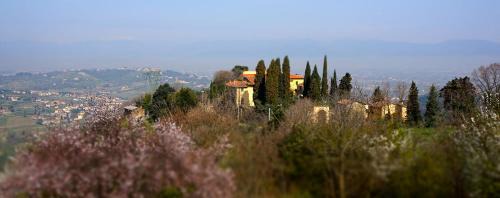 Carmignano House | Agriturismo Frigionaia